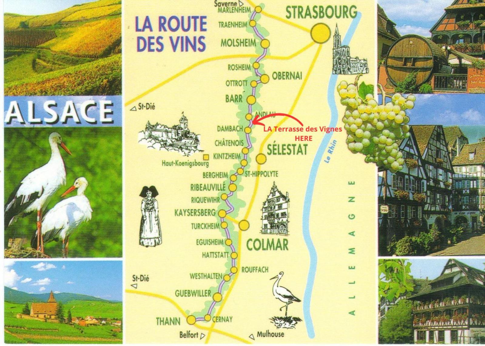 La Terasse Des Vignes - Maison 2 Chambres - 4 Personnes Бльеншвиллер Экстерьер фото